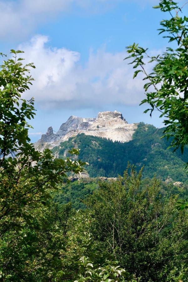 Casa Del Geco - La Natura Intorno A Te Camaiore Kültér fotó